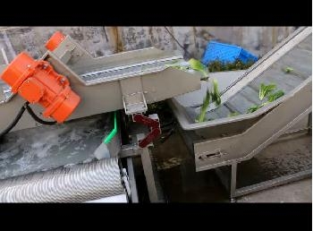 嘉信油菜清洗視頻