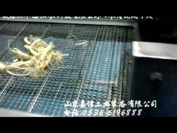 威海環(huán)翠樓人參清洗風干線