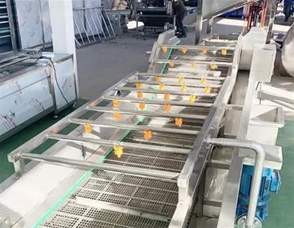 果蔬氣泡清洗機的原理是什么？