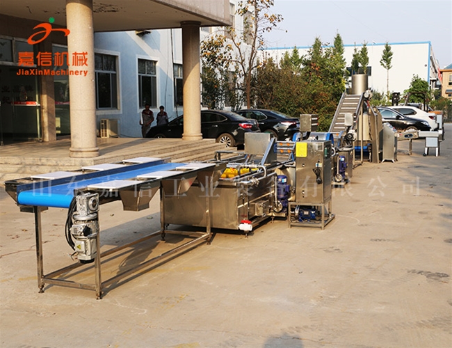根莖類、葉菜類二合一清洗風干流水線設備